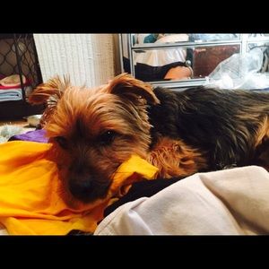 Meet your Posher, Carmen